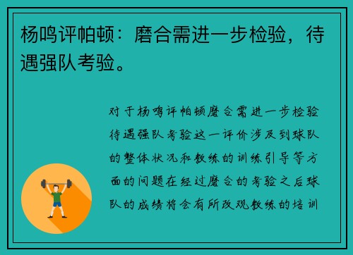 杨鸣评帕顿：磨合需进一步检验，待遇强队考验。
